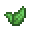 Folha de Hortelã Verde