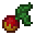 Roasted Leppa Berry