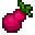 Roasted Payapa Berry