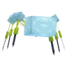 Araquanid