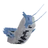 Barboach