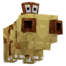 Hippopotas