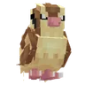 Pidgey