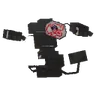 Runerigus